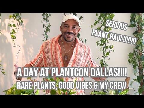 Видео: PlantCon Dallas 2025: редкие растения, продавцы и лучшее мероприятие, посвященное комнатным расте...