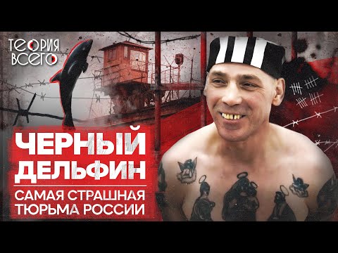 Видео: Колония «Черный дельфин» / Как содержат самых опасных преступников / Тру-крайм | Теория Всего