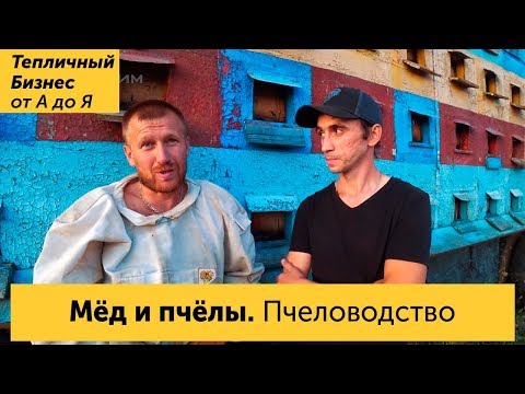 Видео: Мёд. Пчеловодство как бизнес и профессия. Математика пчеловода, и почему детям нужно есть мёд!