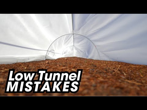 Видео: Низкие туннели: секрет круглогодичного выращивания (не совершайте эту ошибку)