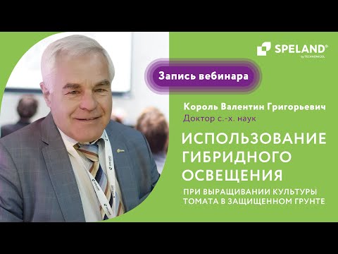 Видео: Вебинар: использование гибридного освещения при выращивании культуры томата в защищенном грунте