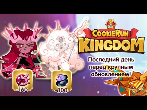 Видео: ПОСЛЕДНИЙ ДЕНЬ ПЕРЕД КРУПНЫМ ОБНОВЛЕНИЕМ! [Cookie Run Kingdom Scout] 60 круток! [25.09.2023]