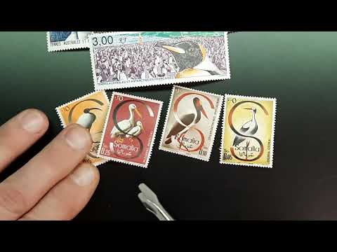 Видео: Новые марки  в новом году