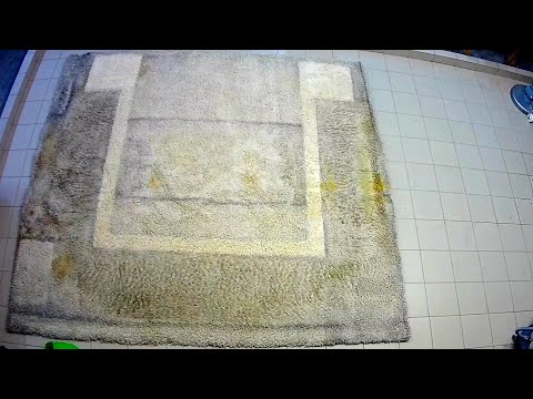 Видео: Грязный, большой, толстый ковер, ещё и с запахом мочи/ Dirty, large, thick carpet, smelling of urine