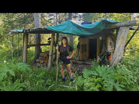 Видео: ПЕЧЬ в ИЗБУ! ОДНА УСТАНАВЛИВАЮ ПЕЧЬ. ЖИЗНЬ в ТАЙГЕ.