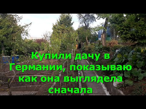 Видео: Купили дачу в Германии, показываю как она выглядела сначала #дача #германия
