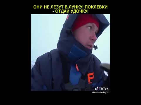 Видео: 29 октября 2025 г.