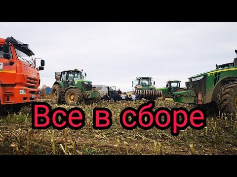 Видео: Вышли на работу после выходных, погода шик