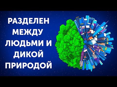 Видео: Что будет, если построить стену между людьми и дикой природой