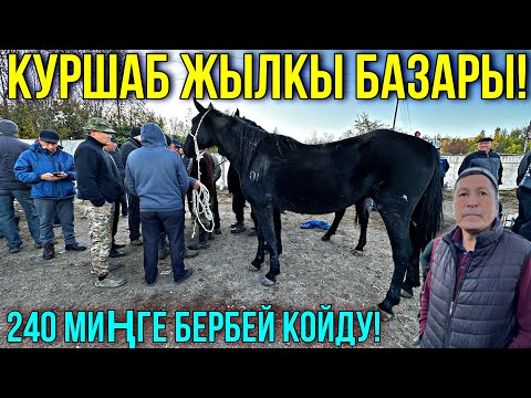 Видео: ЖЫЛКЫ БЭЭ БАЙТАЛ ТАЙ БААЛАРЫ 🤯 #байтв