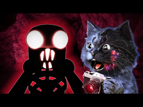 Видео: НИКОГДА НЕ ФОТКАЙ В ТЕМНОТЕ! / The Maze