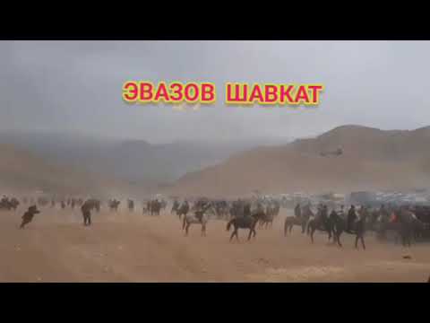 Видео: БУЗКАШИ КОЛХОЗЧИЁН КИСМИ 2 2024