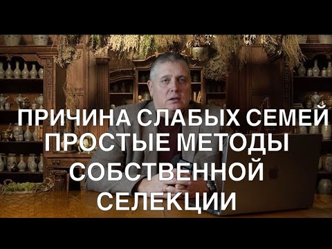 Видео: ПРИЧИНА СЛАБЫХ СЕМЕЙ. ПРОСТЫЕ МЕТОДЫ СОБСТВЕННОЙ СИЛЕКЦИИ