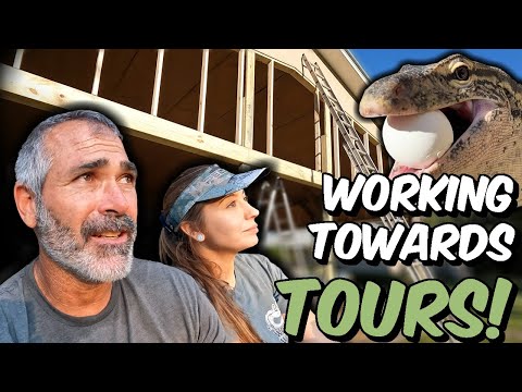 Видео: Прогресс барной зоны!