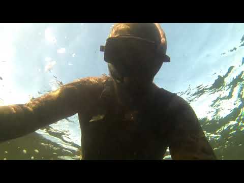 Видео: ПОДВОДНАЯ ОХОТА В НОЯБРЕ !!!