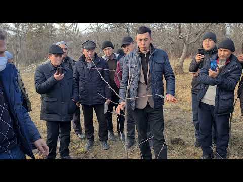 Видео: Ошто болгон бак отургузуу семинары 18.19 декабрь