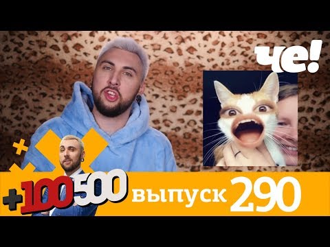 Видео: +100500 | Выпуск 290 | Новый сезон на телеканале Че!