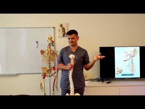 Видео: Позвоночник! Как двигаются позвонки в нашей шее и как мы травмируем спину