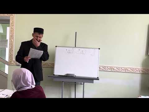 Видео: «Арабский язык»(Мединский курс ч1 урок 2)