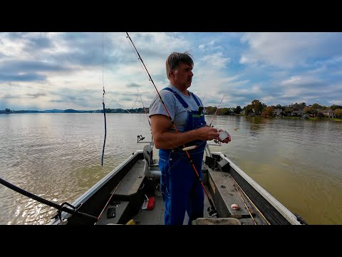 Видео: Ловля сома на озере Форт-Лаудон