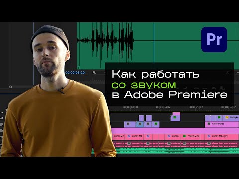 Видео: Работа со звуком в Adobe Premiere Pro (от голоса до эффектов)