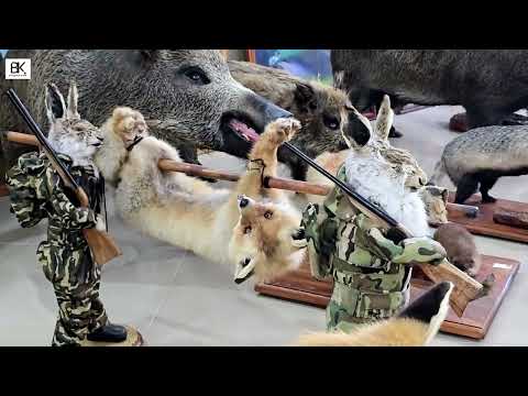 Видео: Соль-Илецк. Оренбургская область. История города. Черный дельфин. Парк Персиянова. Сенная площадь