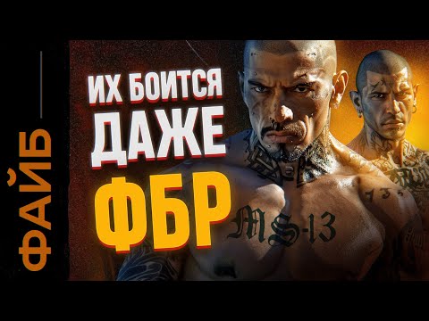 Видео: Самая дикая банда США. Мачете, тату, бизнес-решения | ФАЙБ