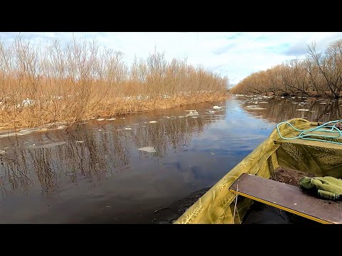 Видео: ВЕСНОВКА 2022 \ Часть 9 \ ЖИЗНЬ В ПАЛАТКЕ \ РЫБАЛКА НА СЕТИ