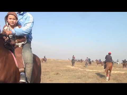 Видео: 2 февраля 2024 г.