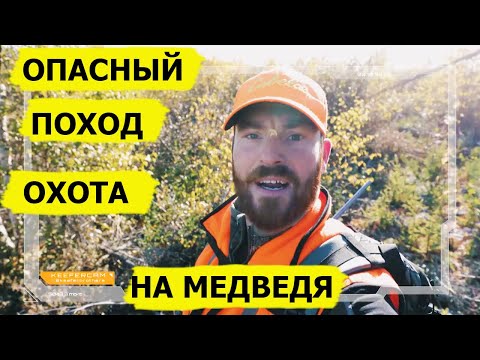 Видео: Охота на медведя. Опасный поход. В борьбе за выживание/Dropped (Охотник и рыболов)