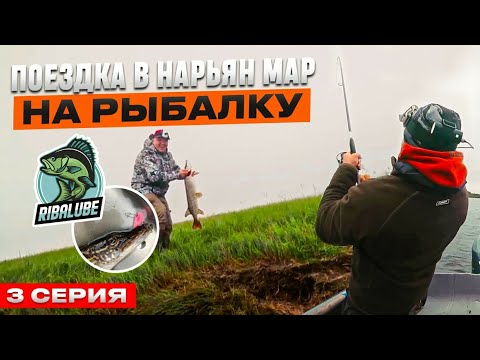 Видео: #3 Нарьян-Мар.  Где Олени и РЫБА - ГЛАВНОЕ СОКРОВИЩЕ. РЫБАЛКА 2024