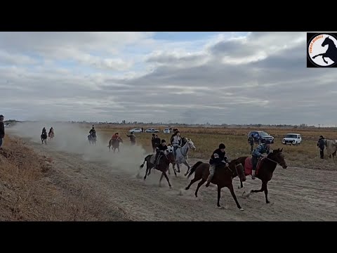 Видео: 11-11-2022 ж Қанлыкөл ошақ бәйге