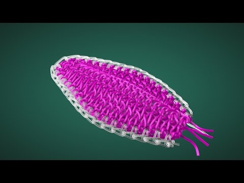 Видео: Бутон лилии