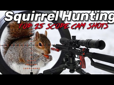 Видео: Охота на белку EDgun Leshiy