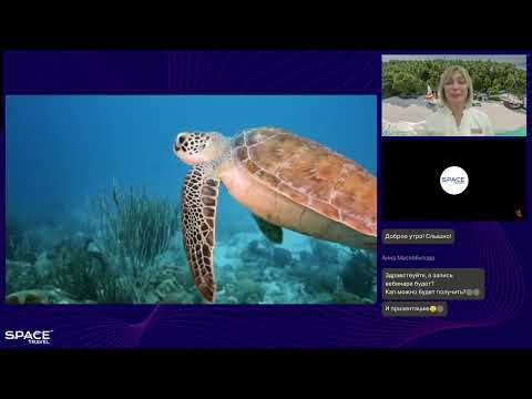 Видео: DusitD2 Feydhoo Maldives 5* и Dusit Thani Maldives 5* — воплощение роскоши и безупречного сервиса!