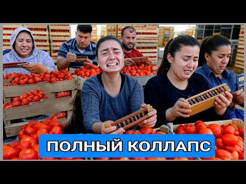 Видео: Помидорный плач стоит над Азербайджаном: бизнесмены считают млрд. убытки и проклинают правительство 