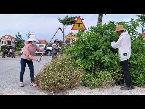 Видео: После того, как мы расчистили тротуары, цены на недвижимость резко взлетели