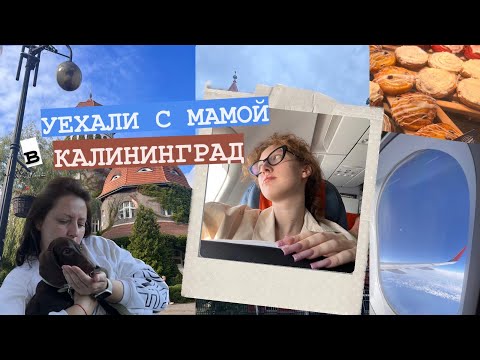 Видео: влог из Калининграда с мамой