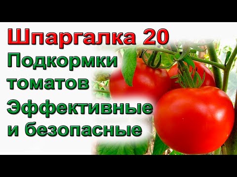 Видео: ШПАРГАЛКА 20  Подкормка томатов и огурцов  Дозировка