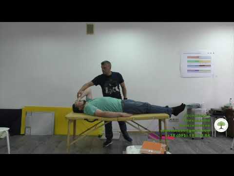 Видео: Разбор пациента. Значимая цепь. Связочная дисфункция.Спайки. Дмитрий Кущик. Прикладная кинезиология.