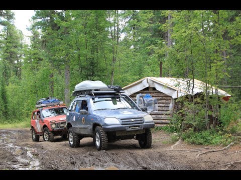 Видео: Перевал Дятлова, Маньпупунёр. Ч. 2. Изба в кедровнике.