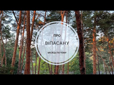 Видео: Мій досвід Віпасани / 1 місяць по тому / Vipassana