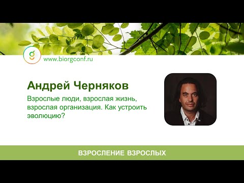 Видео: Выступление Андрея Чернякова на Живой Компании 2025 в Москве