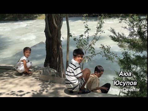 Видео: Водил 2025 Июль. Vodil 2025 Iyul.