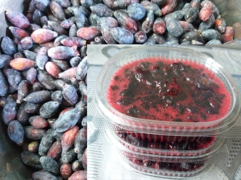 Видео: ЖИМОЛОСТЬ без варки на зиму!!!