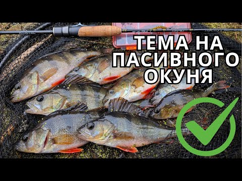Видео: Як ловити пасивного окуня на мікроджиг? Crazy Fish Arion 742SULS