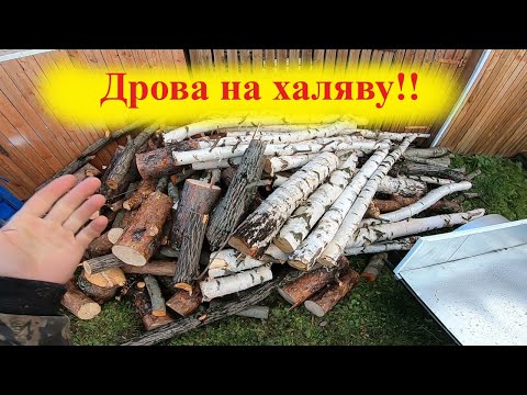 Видео: Дрова на халяву или как сэкономить  деньги!!!!Серия 1