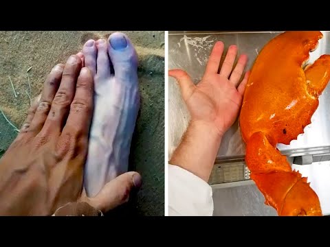 Видео: Как сравнение меняет восприятие мира