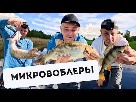 Видео: На МИКРОВОБЛЕРЫ клюёт разная рыба! Ловля рыбы на маленькие воблеры на небольшой реке. Обзор приманок