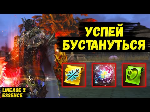 Видео: САМОЕ ВРЕМЯ ЗАБУСТИТЬСЯ! Новый ивент ЛЕС СФИНКСОВ в Lineage 2  Essence.